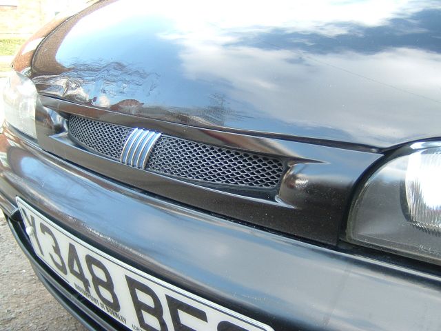 bonnet7.jpg